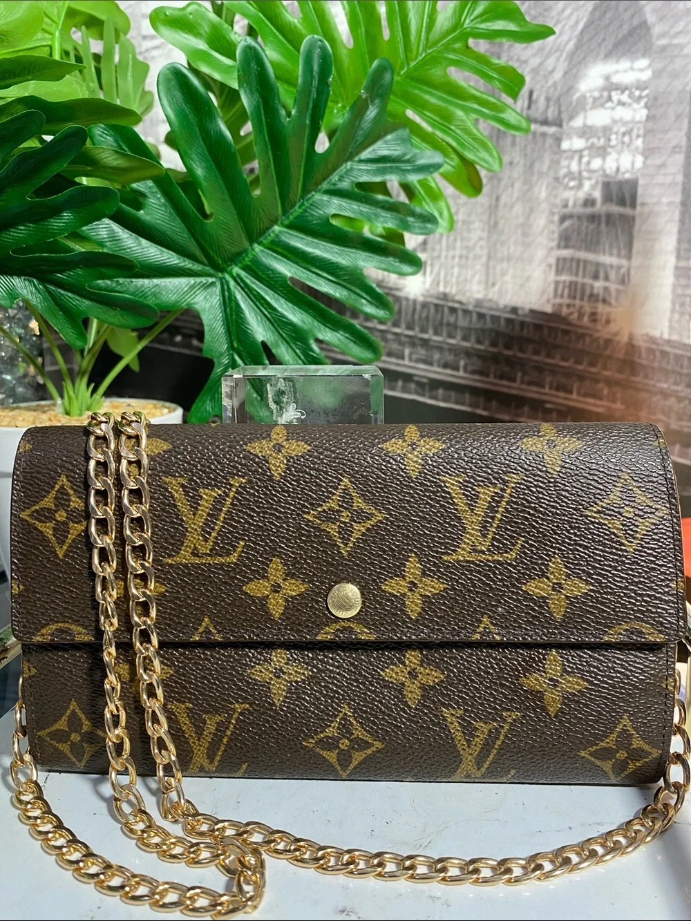 Louis Vuitton authentic louis